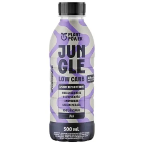 Gengibre Guaraviton 500ml
